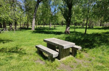 Hacer un picnic en primavera