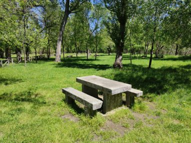 Hacer un picnic en primavera