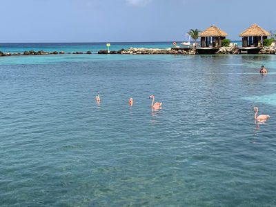 Playa Aruba