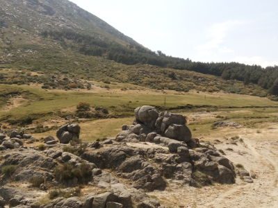 campo en Hoyos del Espino