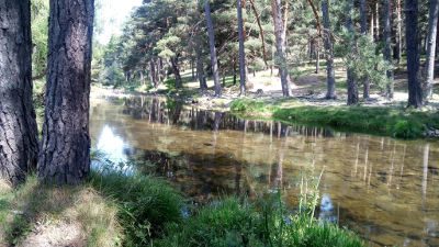 Río Tormes