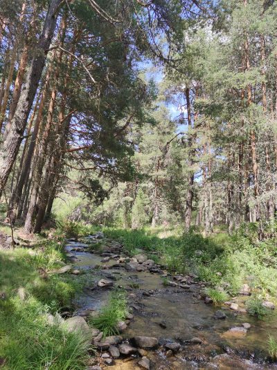 Río Tormes en Hoyos