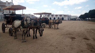 carros con caballos