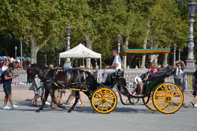 carruajes con turistas