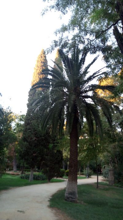 Parque María Luisa