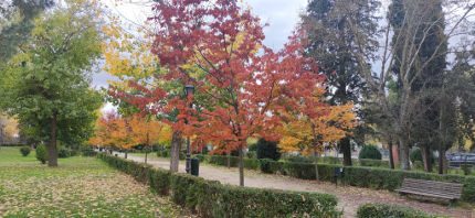 colores de otoño