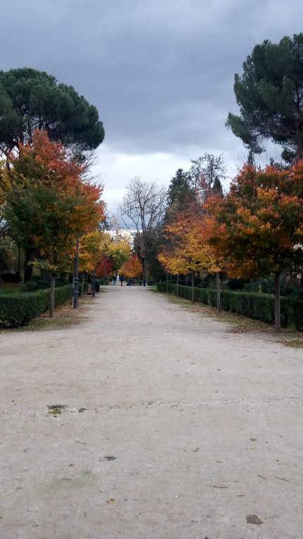 parque en El Pardo