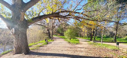 paseo al lado del río Manzanares